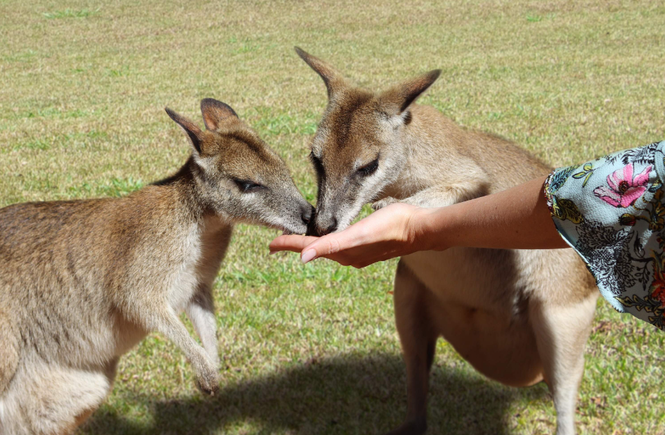 202512101045-2792559022.png image.png