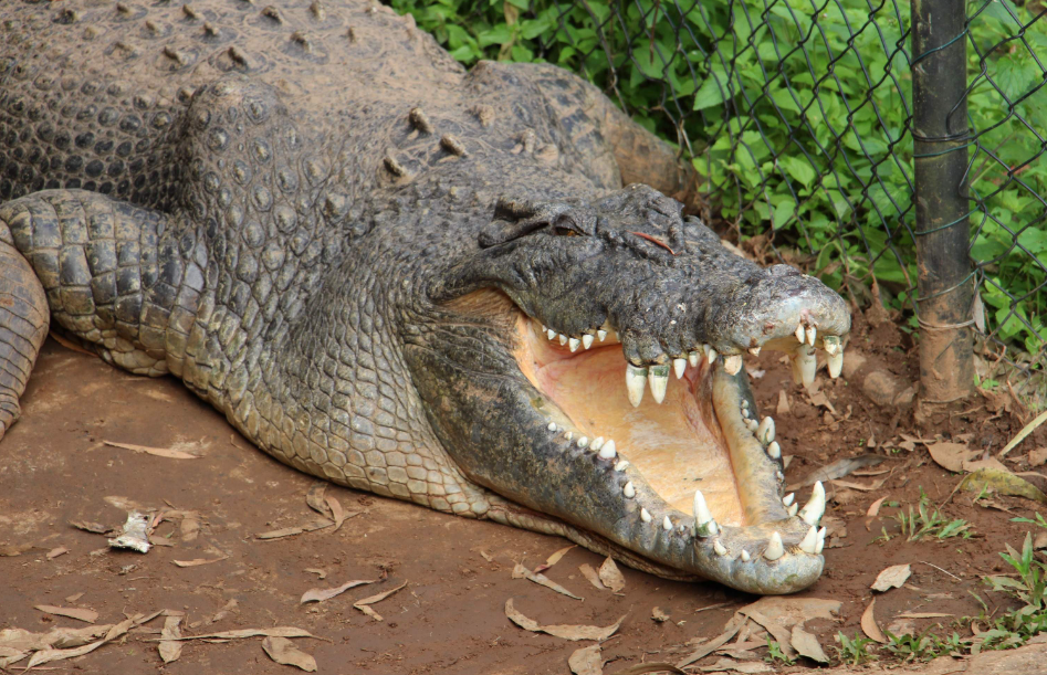 202512101045-3517547398.png image.png