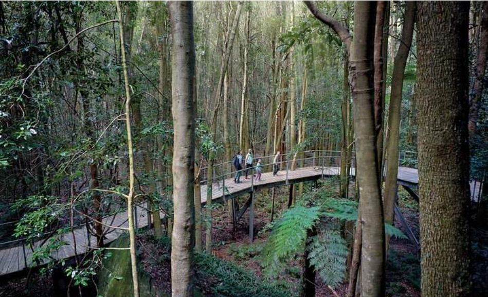 202512101103-4325993345.png image.png