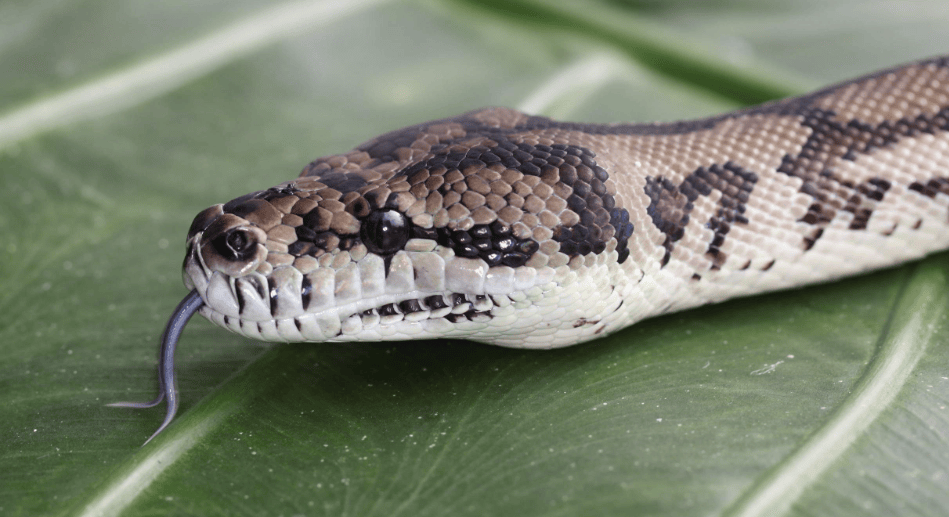 202512101354-2902643679.png image.png