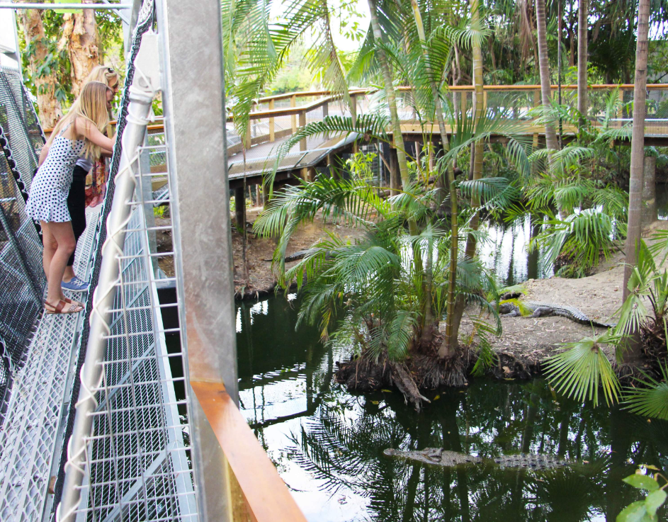 202512101354-9880613640.png image.png