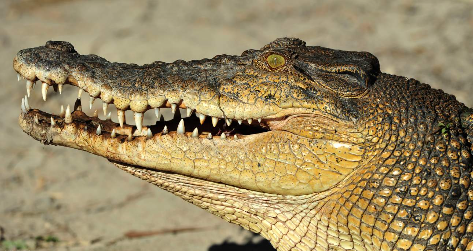 202512101355-4118287002.png image.png