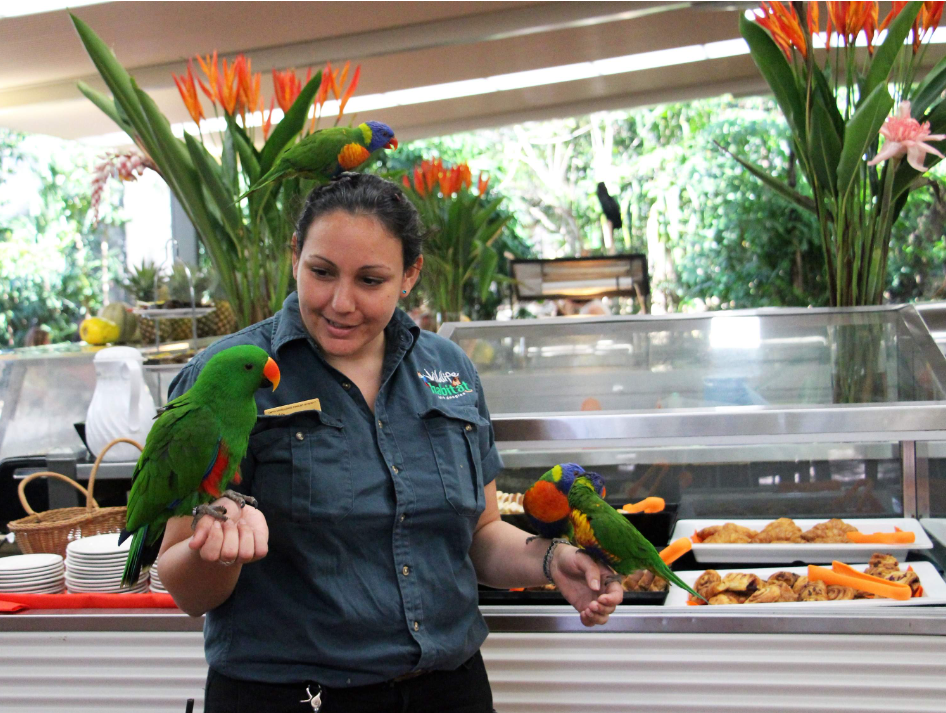 202512101357-3155731203.png image.png