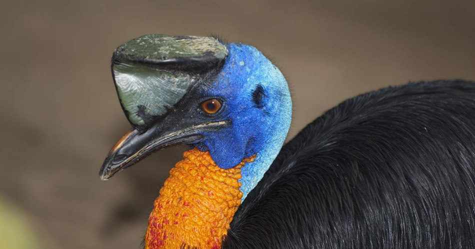 202512101357-4270586150.png image.png