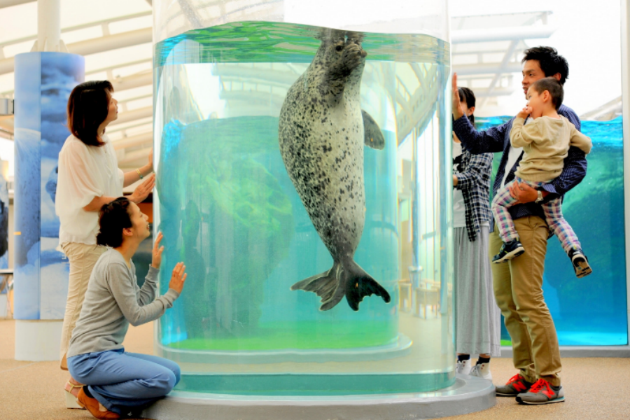 202512101415-4350620418.png Snipaste_2025-12-10_14-12-04.png