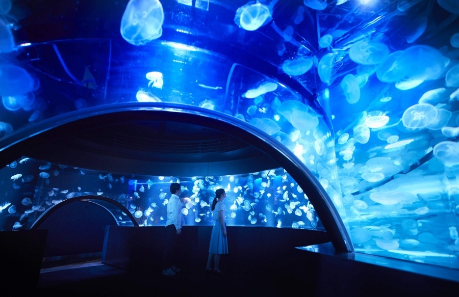 202512101415-6934442552.jpg DM_20251210141145_002.jpg