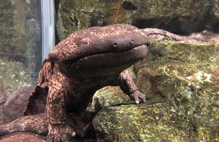 202512101415-9566839427.jpg DM_20251210141145_005.jpg