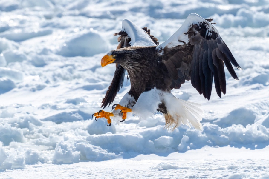 202512101457-9271911442.jpg DM_20251210145456_005.jpg