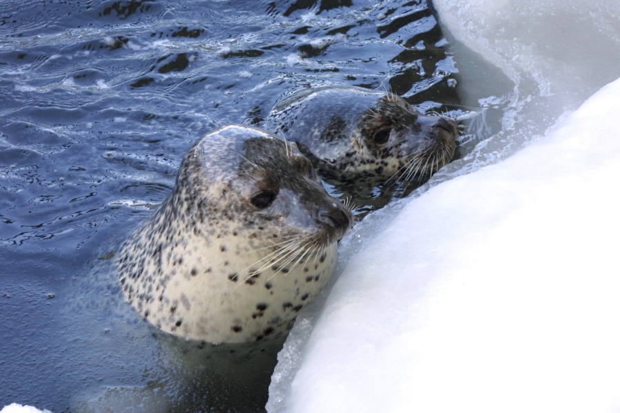 202512101458-7260453826.jpg DM_20251210145456_006.jpg