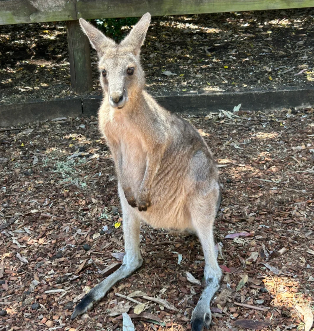 202512101522-5500966234.png image.png