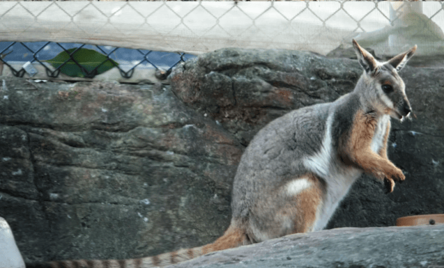 202512101523-4426732356.png image.png