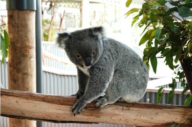 202512101523-4829465811.png image.png