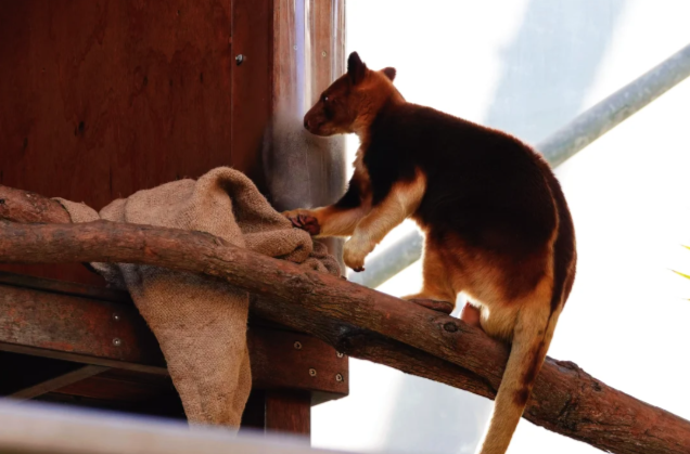 202512101523-7312999697.png image.png