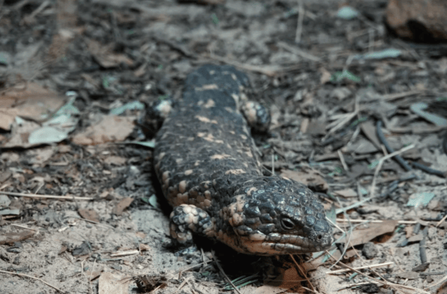 202512101523-8000092903.png image.png