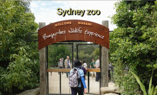 202512101526-1114238513.png image.png