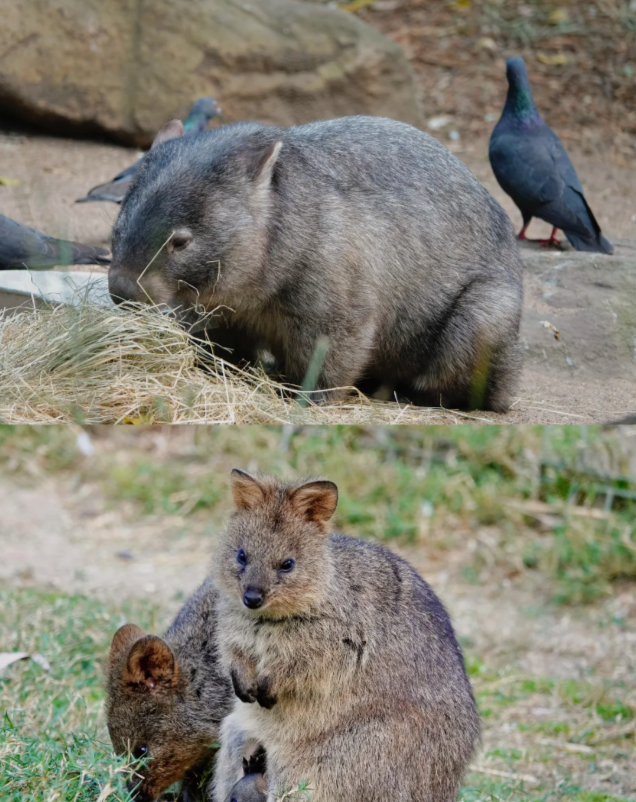 202512101526-4702043726.png image.png