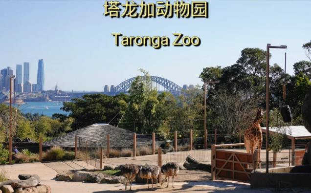 202512101527-8487308906.png image.png