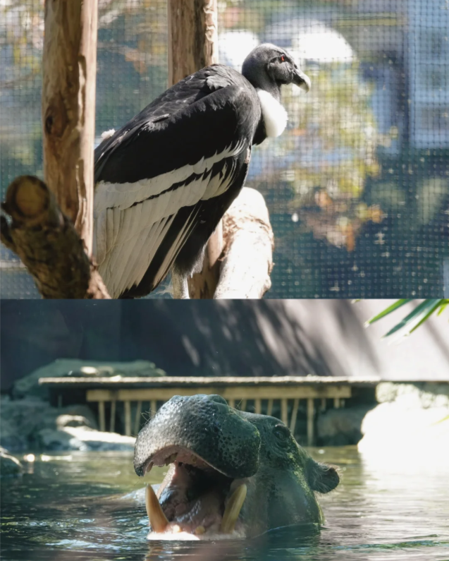 202512101527-8581615967.png image.png