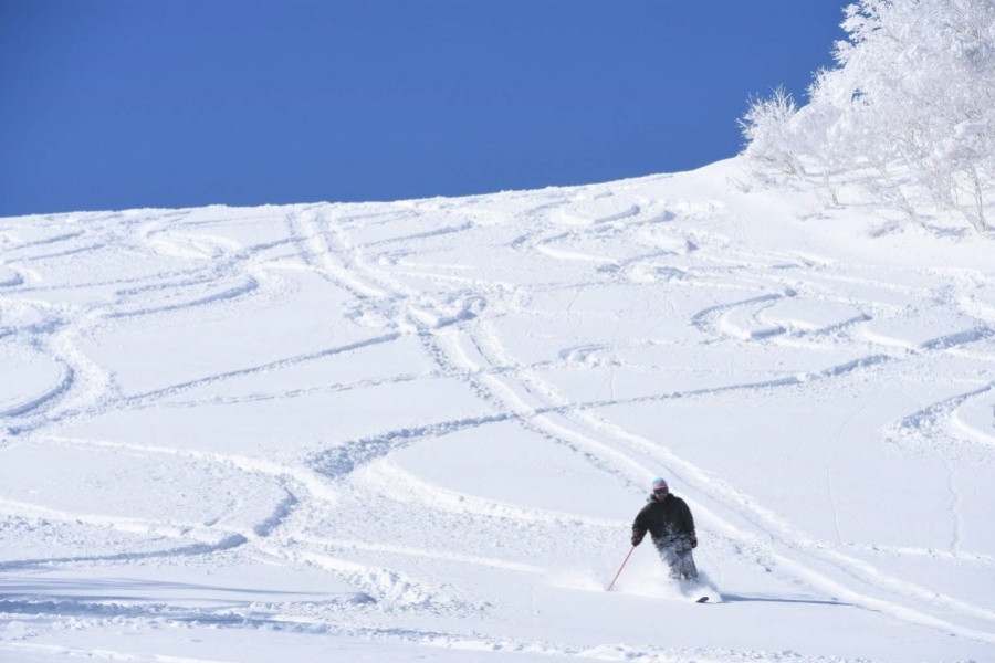 202512101536-7353603392.jpg DM_20251210152232_002.jpg