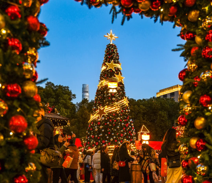 202512101545-4214023327.png image.png