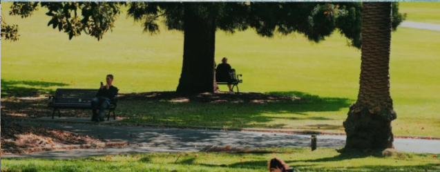 202512101546-2943714886.png image.png