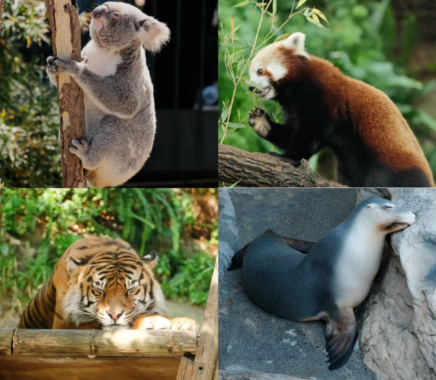 202512101547-8096941252.png image.png