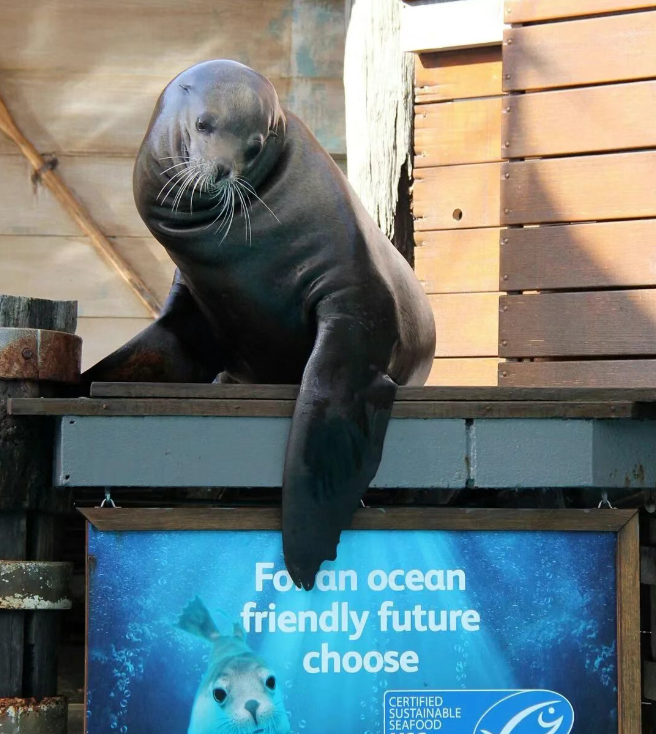 202512101557-1885483337.png image.png