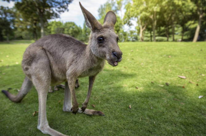 202512101620-5973488419.png image.png