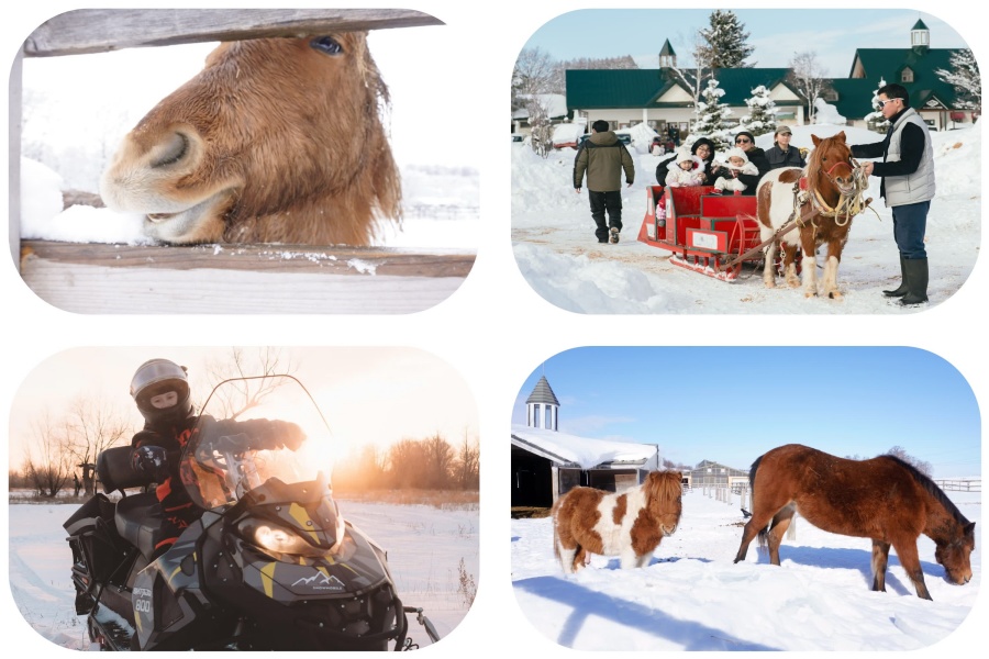 202512101636-6375057222.jpg DM_20251210162148_007.jpg