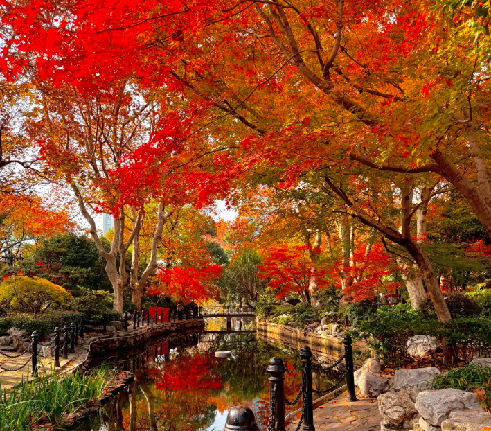 202512101639-9960581747.png image.png