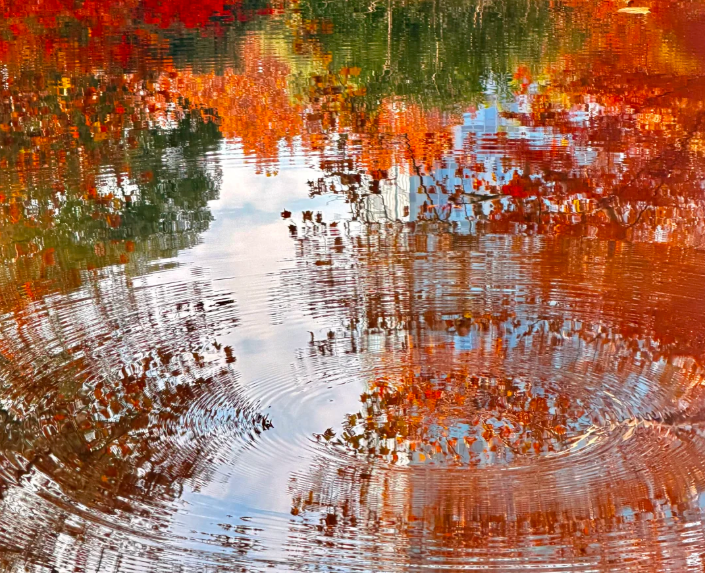 202512101640-4375592795.png image.png