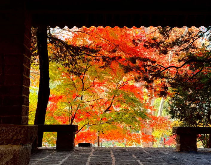 202512101640-6092797371.png image.png