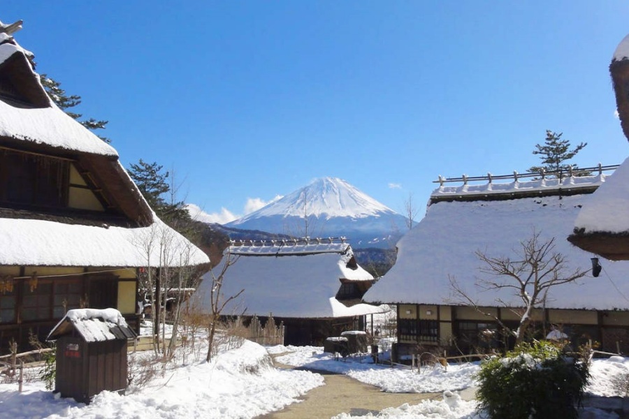 202512101659-7172487325.jpg DM_20251210165313_007.jpg