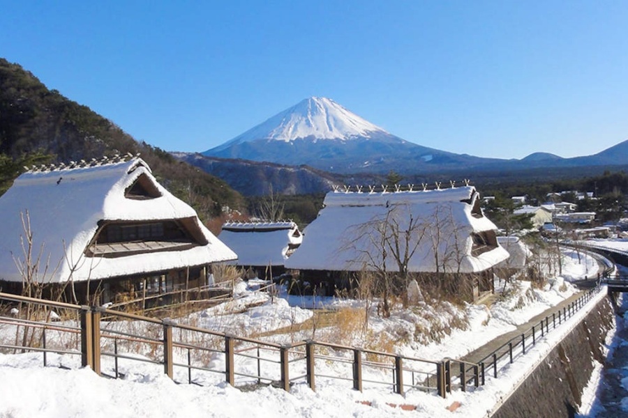 202512101659-7567029614.jpg DM_20251210165313_009.jpg