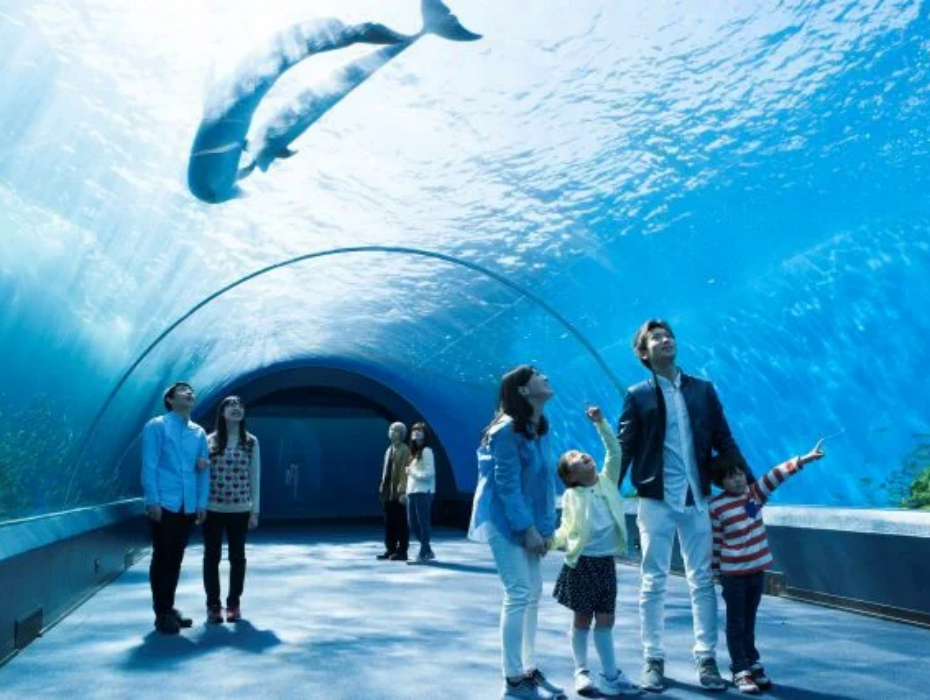 202512101707-3072253427.png 橫浜・八景島シーパラダイス.png