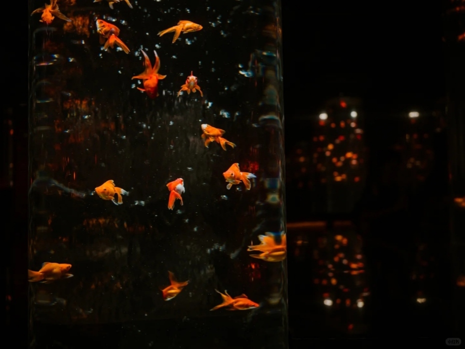 202512101708-6976928280.jpg 930-2.jpg