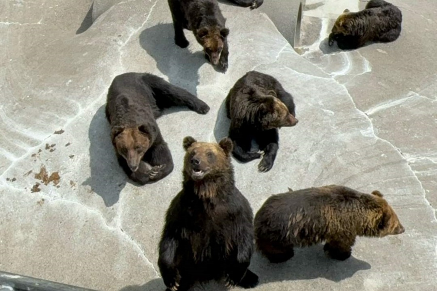 202512101741-2699814846.jpg DM_20251210172046_018.jpg