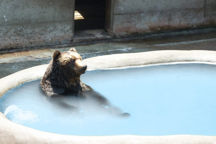 202512101742-4692972317.jpg DM_20251210172046_019.jpg