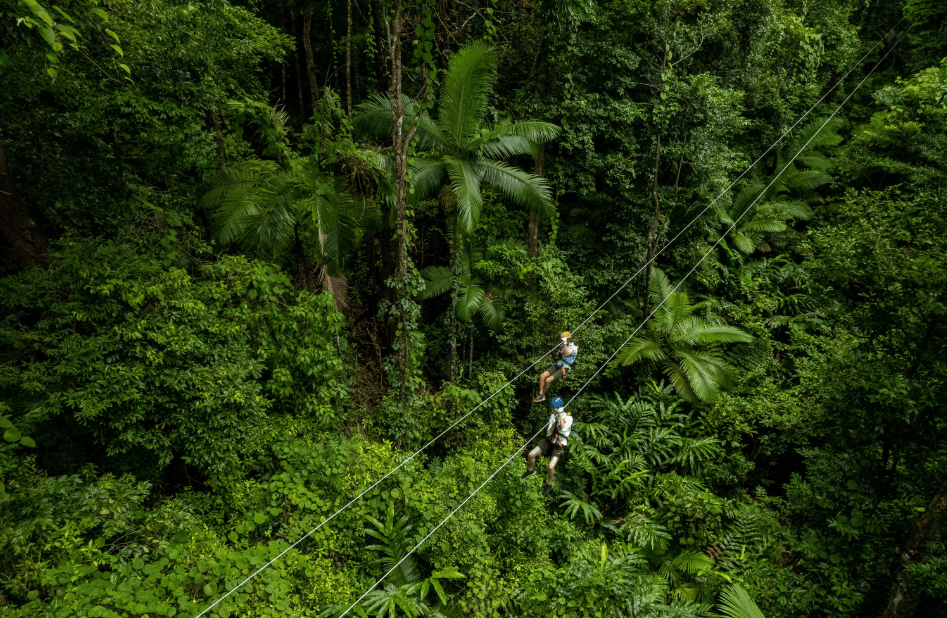 202512110910-8065247773.png image.png