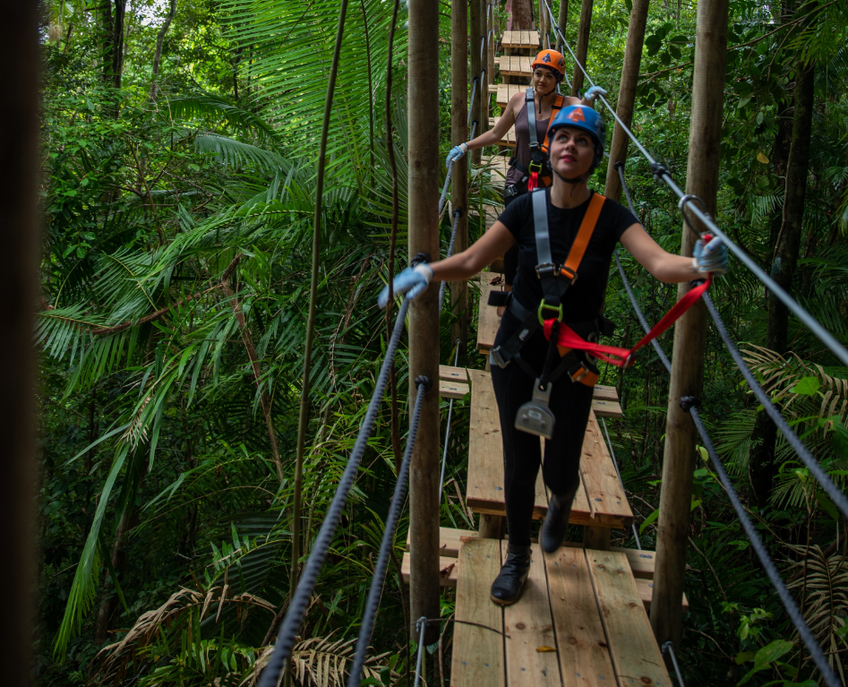 202512110911-8614975778.png image.png