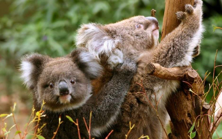 202512110923-1117822238.png image.png