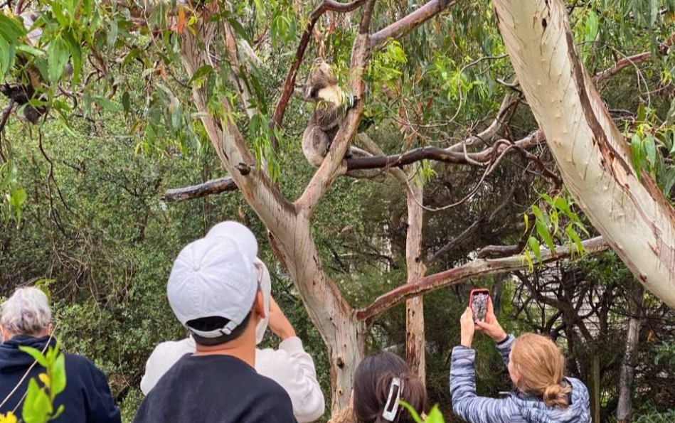 202512110924-7440637571.png image.png