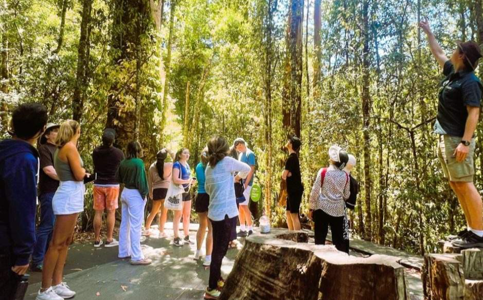 202512110925-1189976530.png image.png