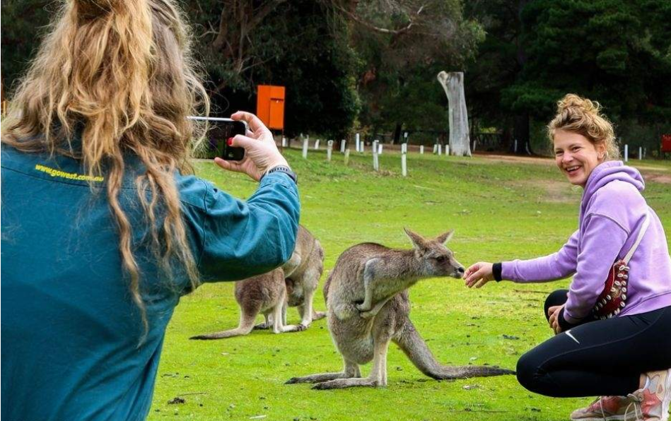 202512110940-3963160512.png image.png