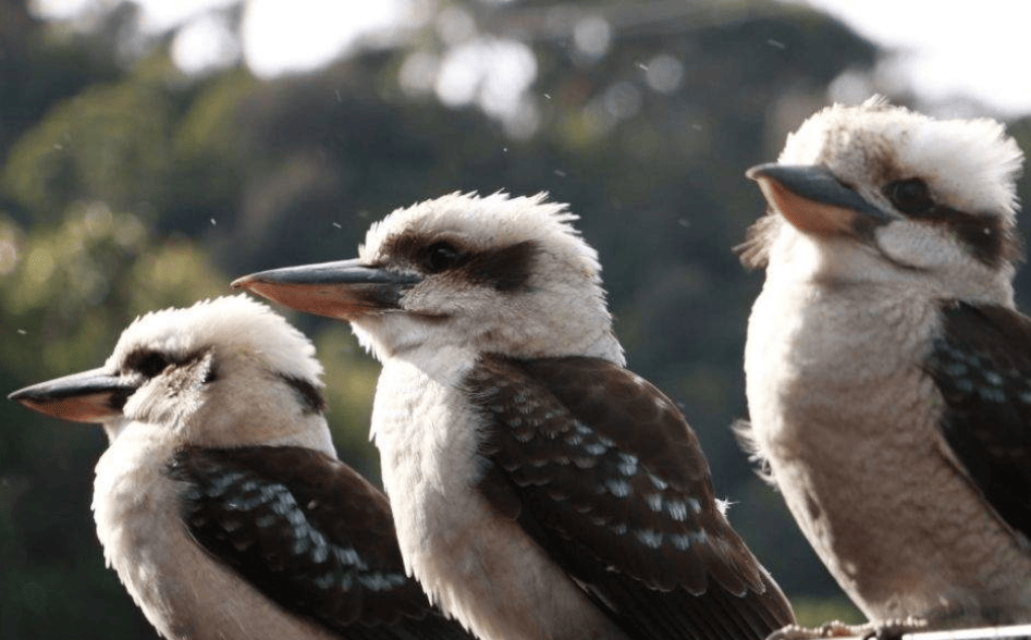 202512110940-5629647508.png image.png