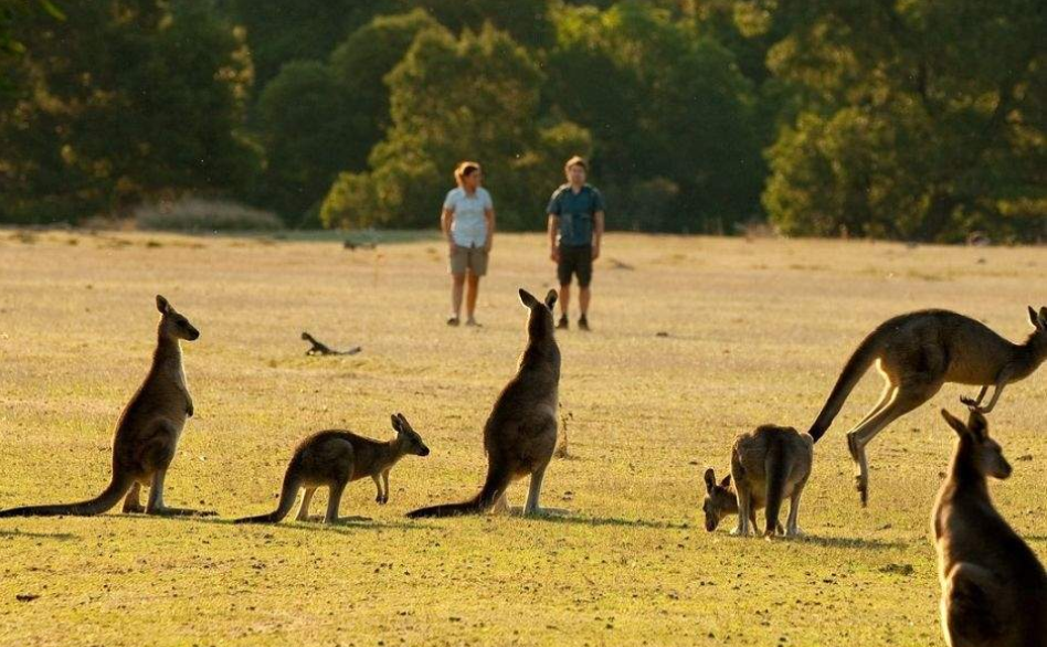 202512110943-4714976955.png image.png