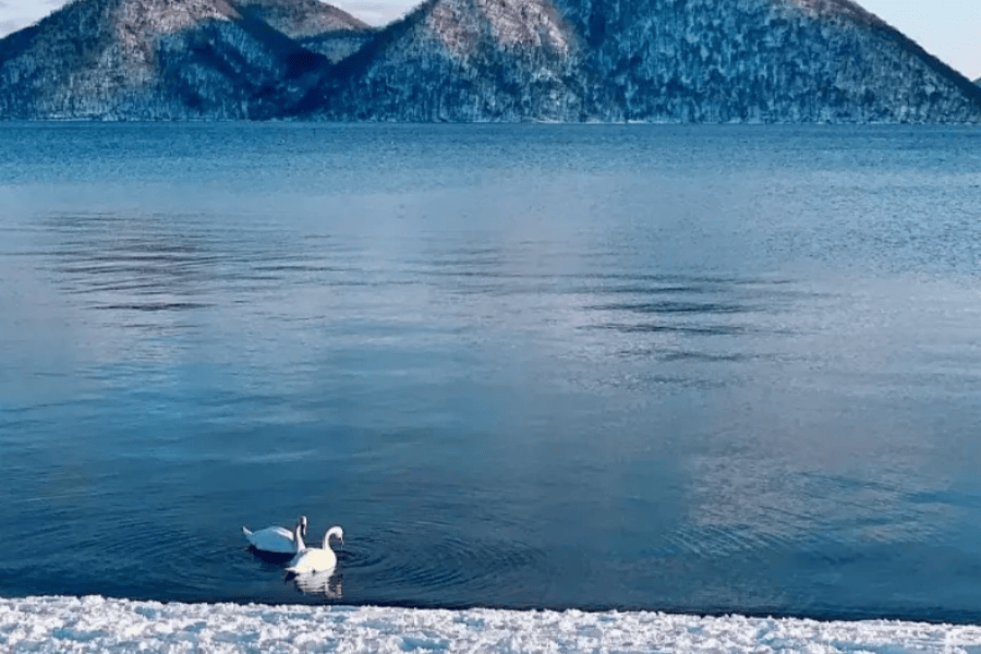 202512110958-2373494449.png Snipaste_2025-12-11_09-56-45.png