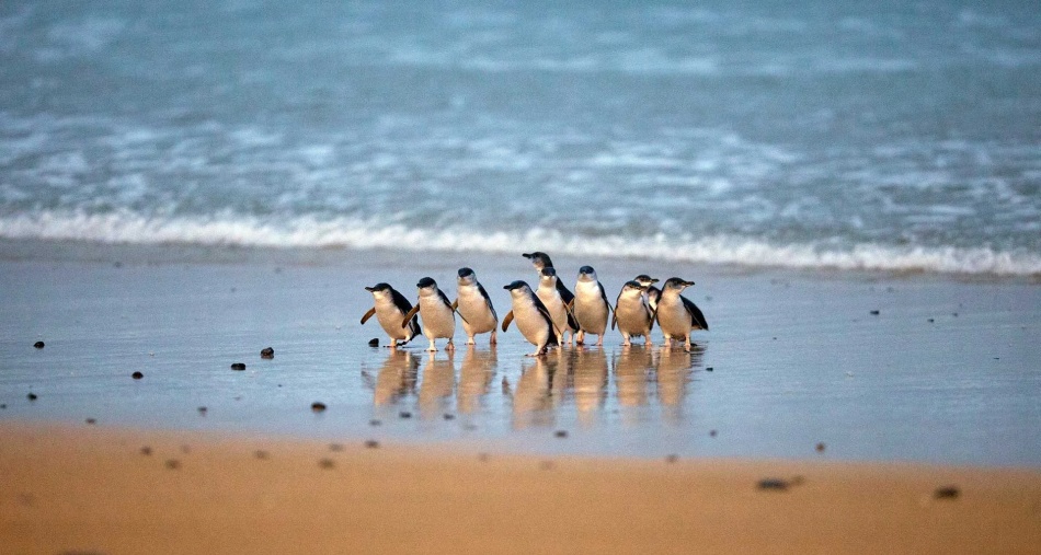 202512111000-8635873055.jpg 1.jpg