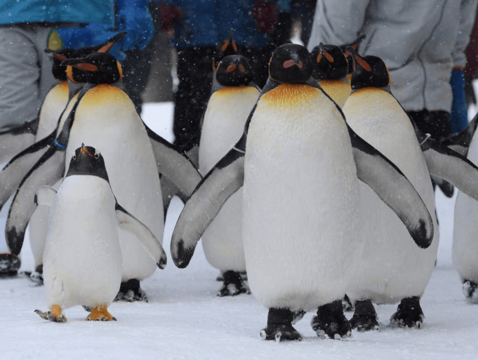 202512111002-2513760527.png 企业微信截图_17654182893902.png