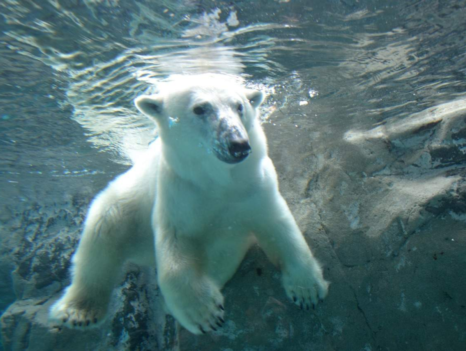 202512111005-6783444638.png 企业微信截图_17654183538480.png